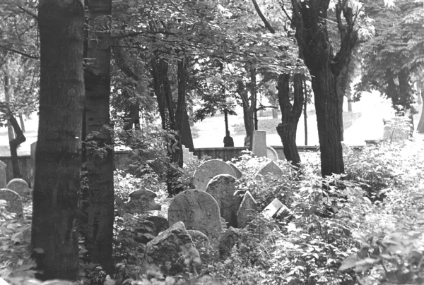 Židovský hřbitov založen r. 1680